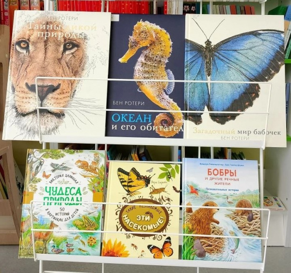 Книжная выставка «Берегите Землю! Берегите!» приглашает полюбоваться природой России