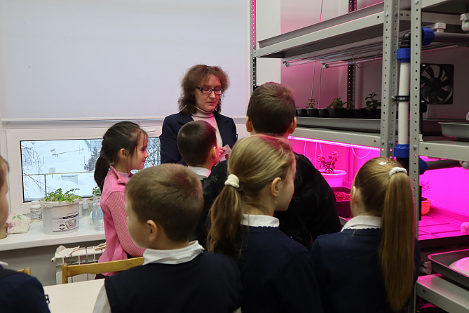 Беседа «Семена овощных культур» в зале «Сила земли»